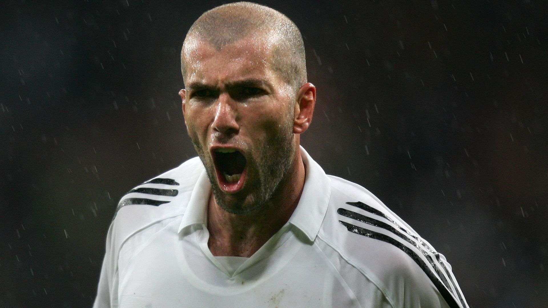 上还有提升 上还有提升