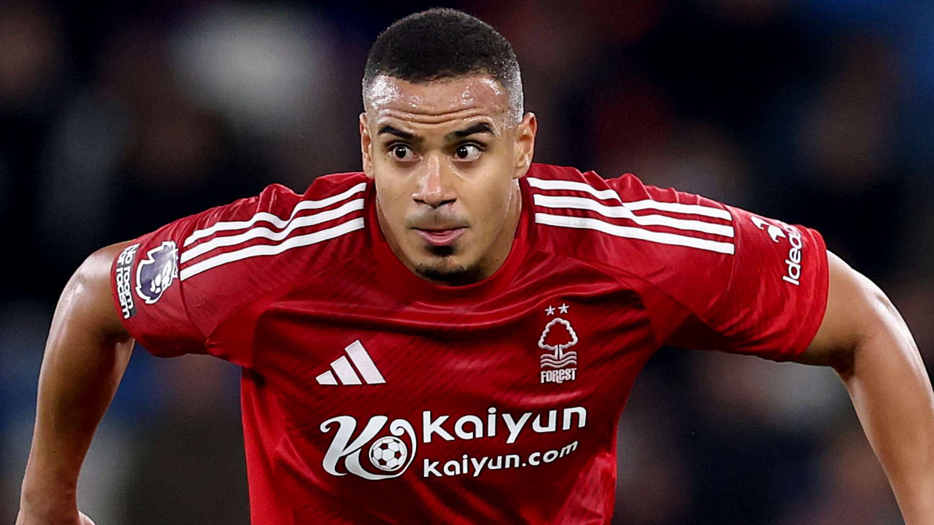 这位身高 这位身高